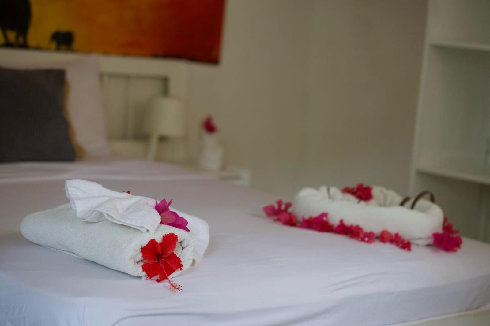 Afreeka Beach Hotel Las Terrenas Kültér fotó