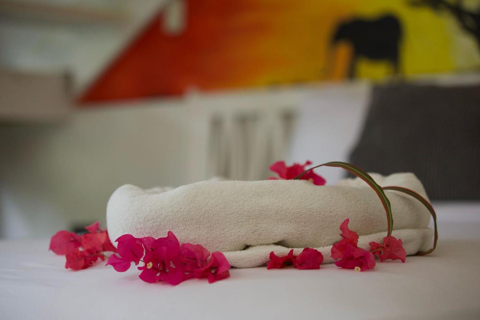 Afreeka Beach Hotel Las Terrenas Kültér fotó